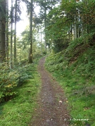 L'étroit sentier du sommet permet de se rendre au Sentier du Maire
